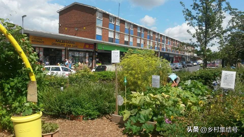 鎵樺痉鎽╃櫥,鑻卞浗鎵樺痉鎽╃櫥灏忛晣