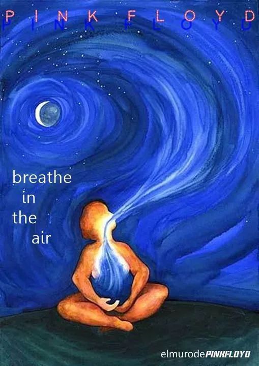 pinkfloyd专辑月之暗面,pinkfloyd月之暗面封面短袖