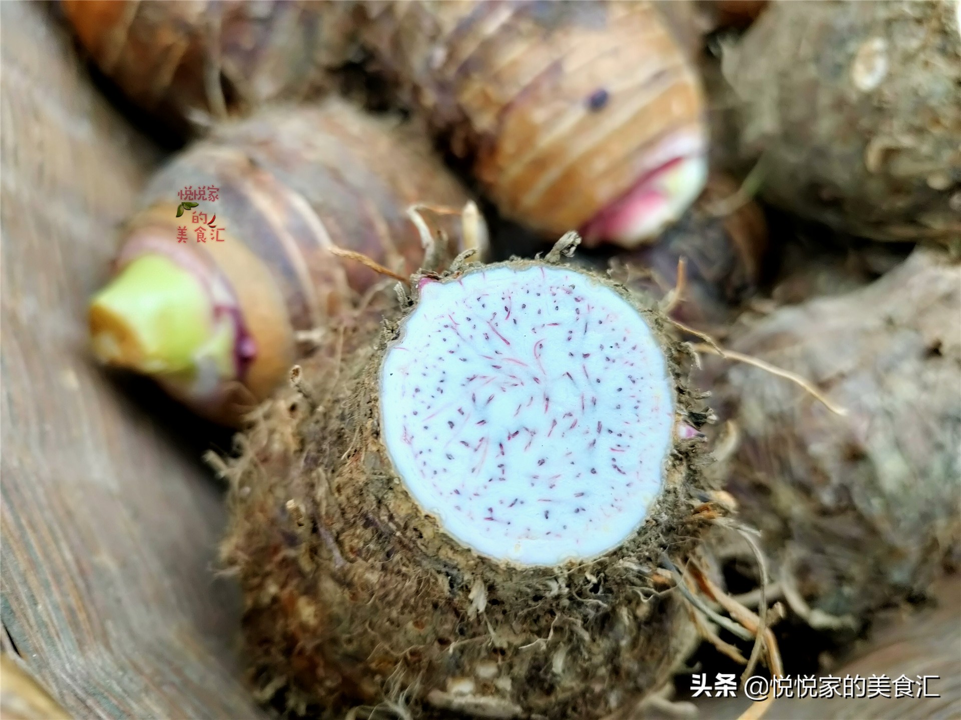 买荔浦芋头攻略,怎样选香芋才是正确的