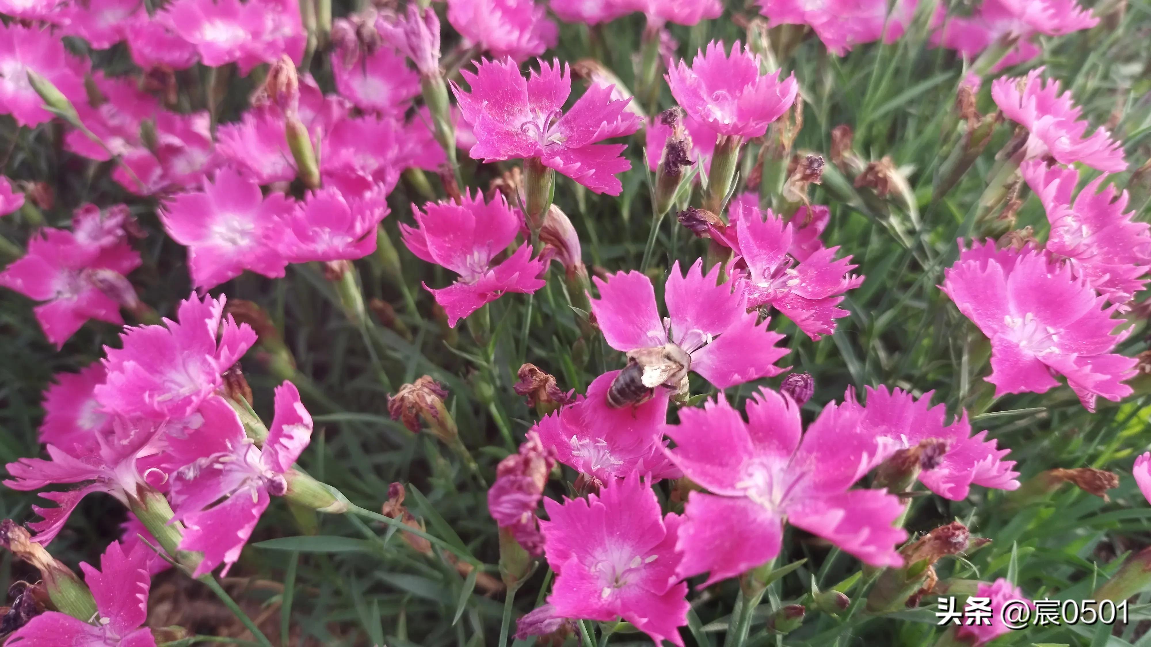 他月挣3600，给儿子还房贷2400，儿媳：孩子上兴趣班每月1200