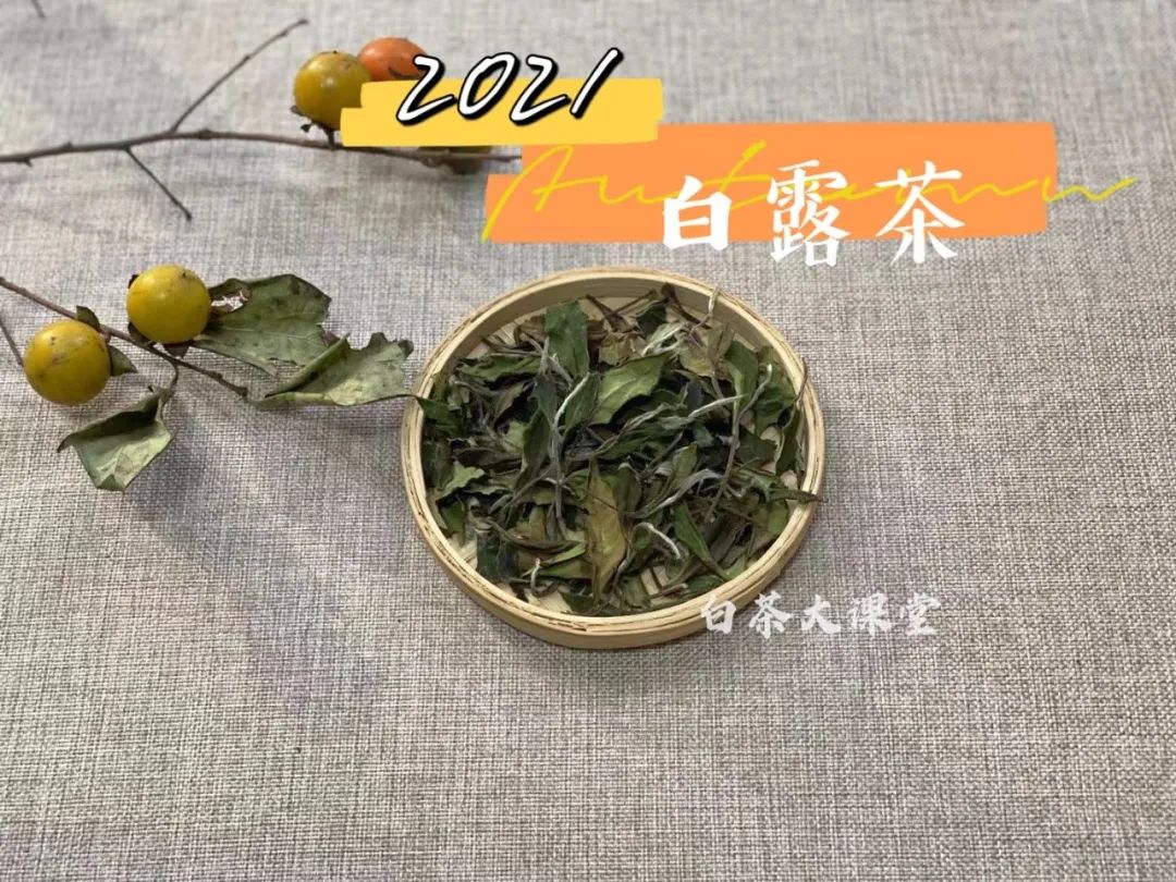 白茶是绿茶为什么叫白茶呢,白茶绿茶红茶青茶是怎么划分的