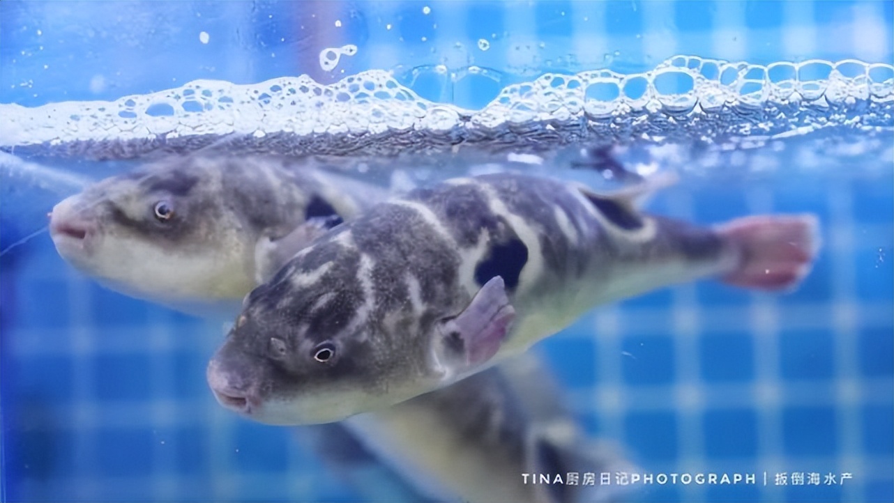 海鲜店成本和利润分析,40平服装店年业绩200万