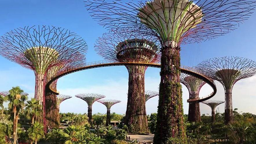 滨水休闲产业全球考察之旅(十一)新加坡滨海湾花园的新颖创意