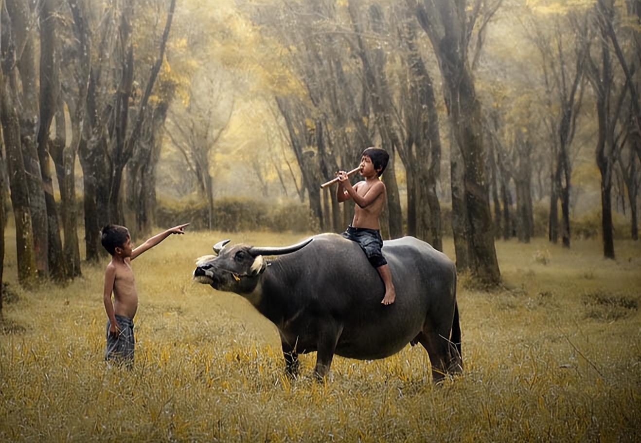 古诗词打分,古诗词评选标准