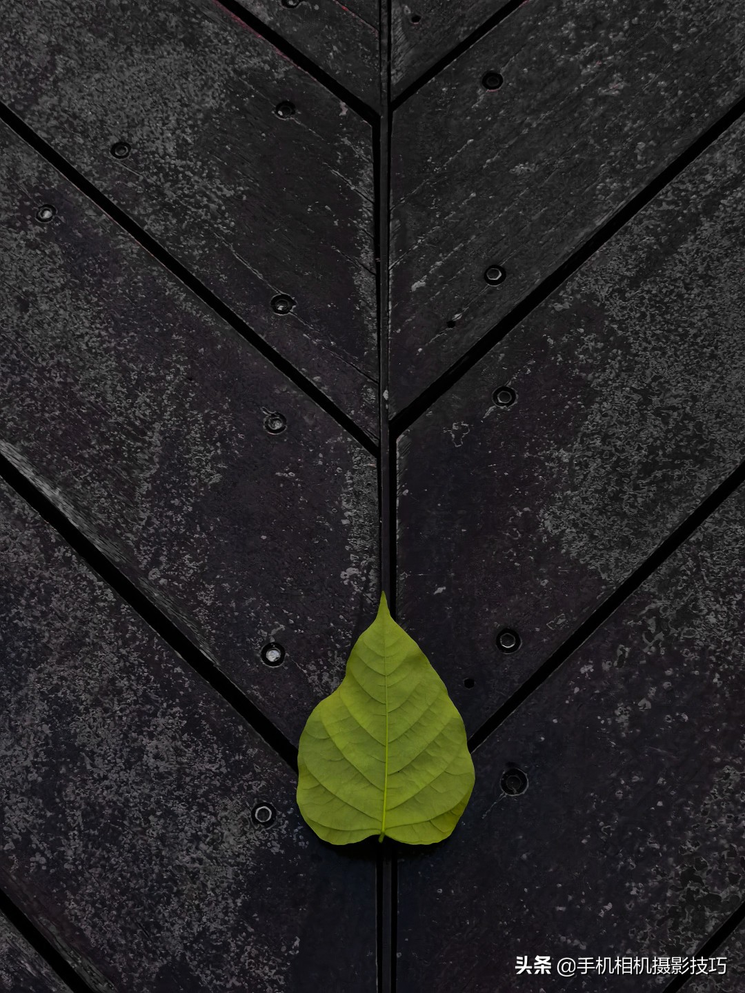 18组普通人拍出来的好照片：把不相关的东西拍到一起，效果很神奇