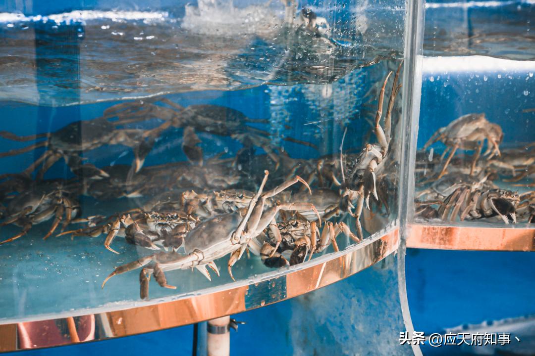 南京众彩买年货攻略,去南京众彩市场买什么最划算