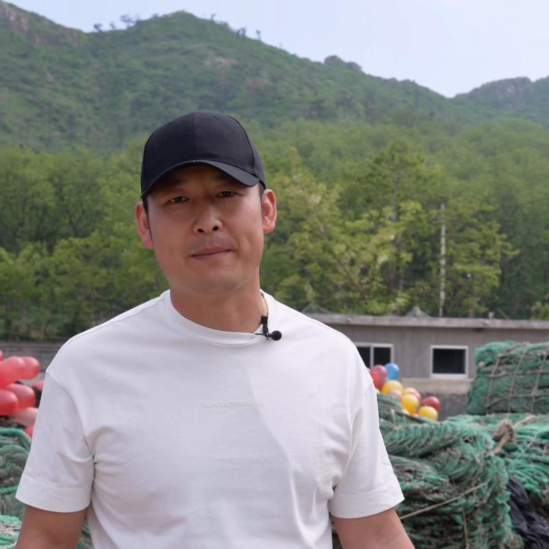 海带收购后多久才能卖,海带收回来要怎么处理