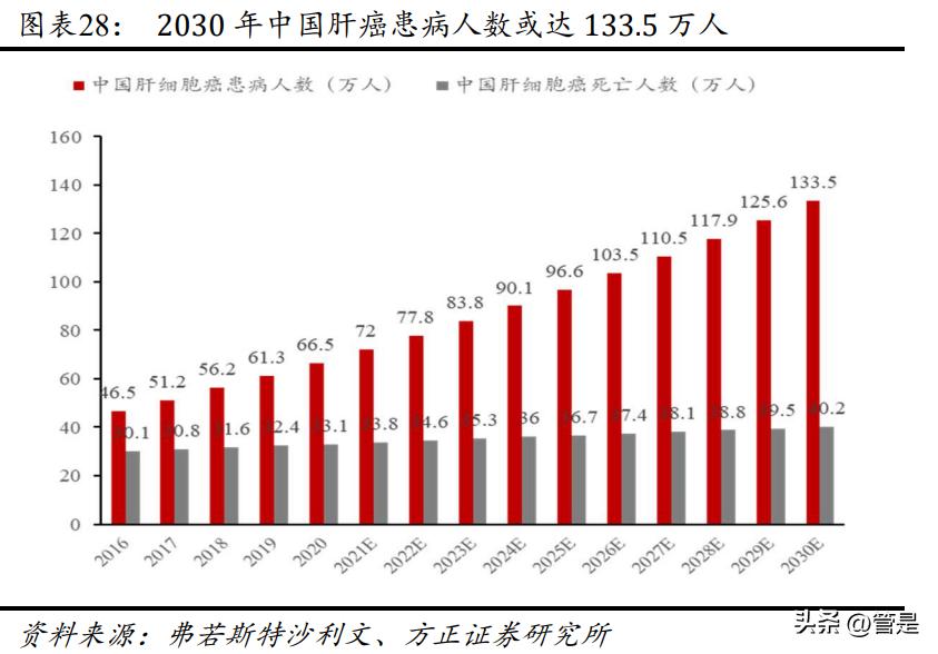 金城医药研究报告:医化平台稳步发展,合成生物平台迎新机