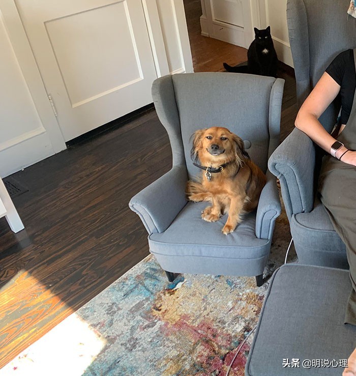 猫咪和鼠鼠的故事,猫和鼠的友谊真实故事