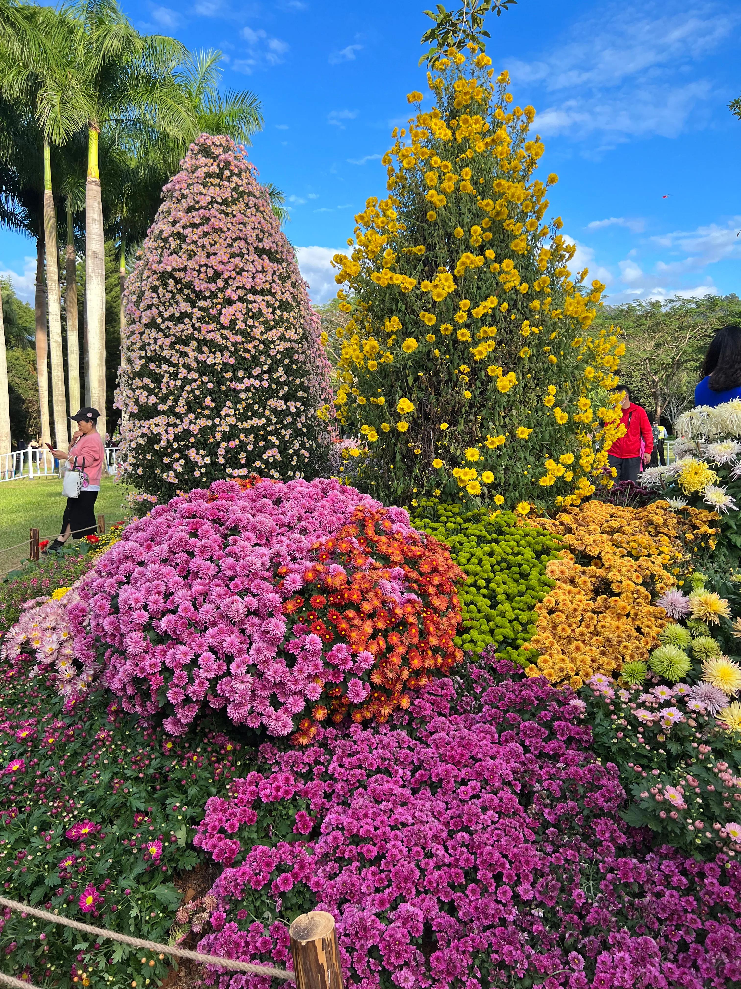 二十条负面清单,21条负面清单是哪些