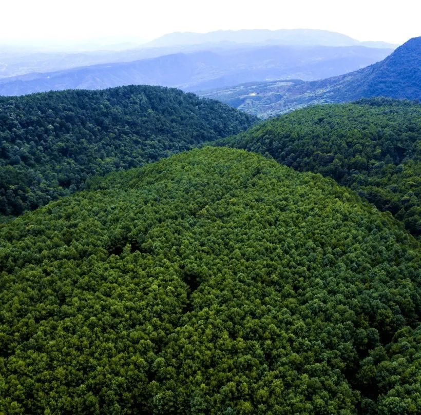 浼氫笢鍐ぉ,浼氫笢鍐姘旀俯