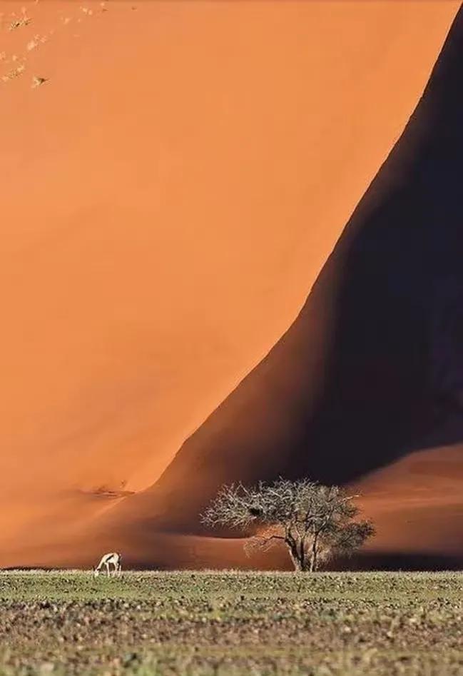 沙漠风景壁纸 (唯美沙漠风景图片壁纸)