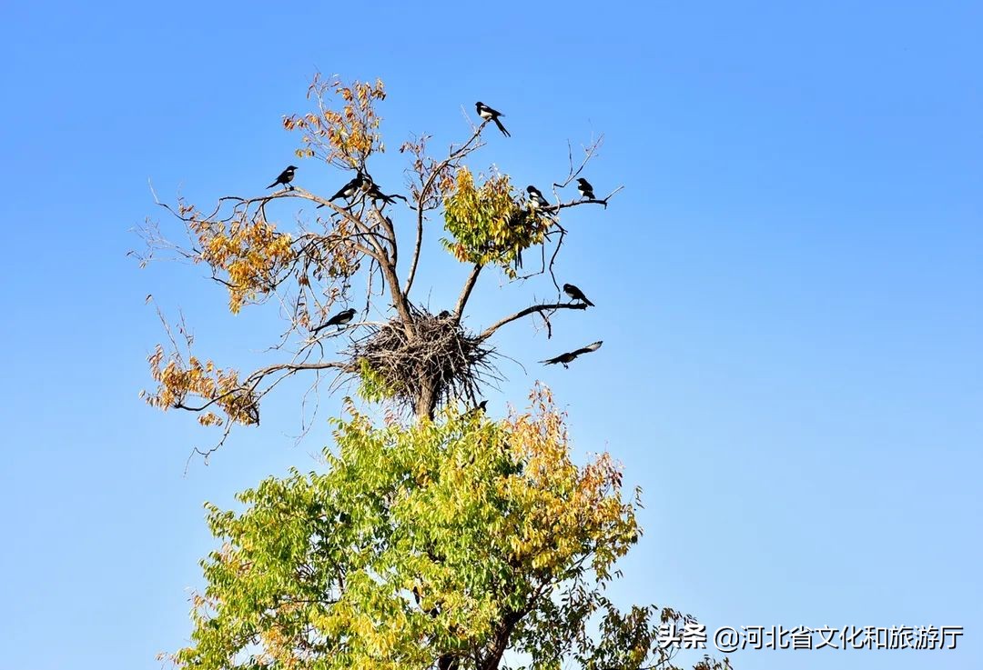 丰宁坝上草原京北第一天路视频,京北第一天路最好看的路