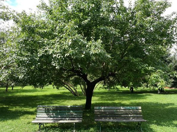 哈尔滨伏尔加庄园，满满的俄罗斯异域风情