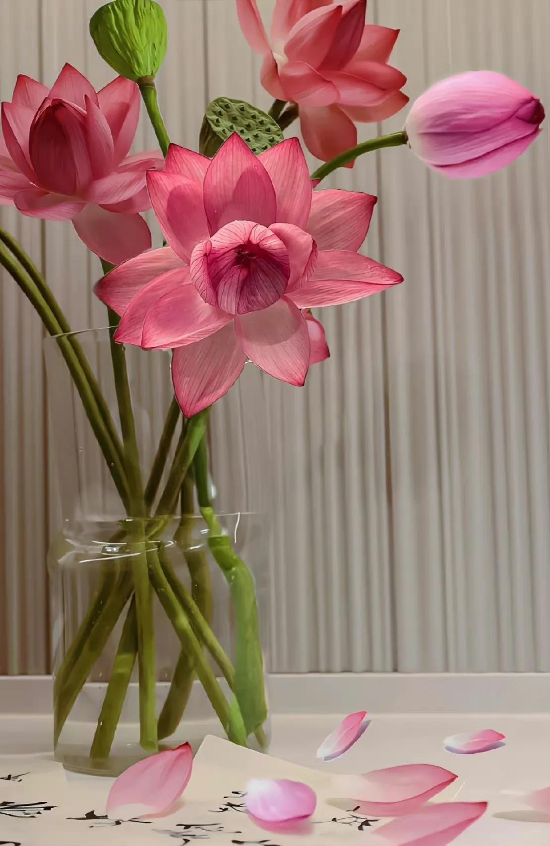 荷花荷叶壁纸图片大全,荷叶手机壁纸高清图片