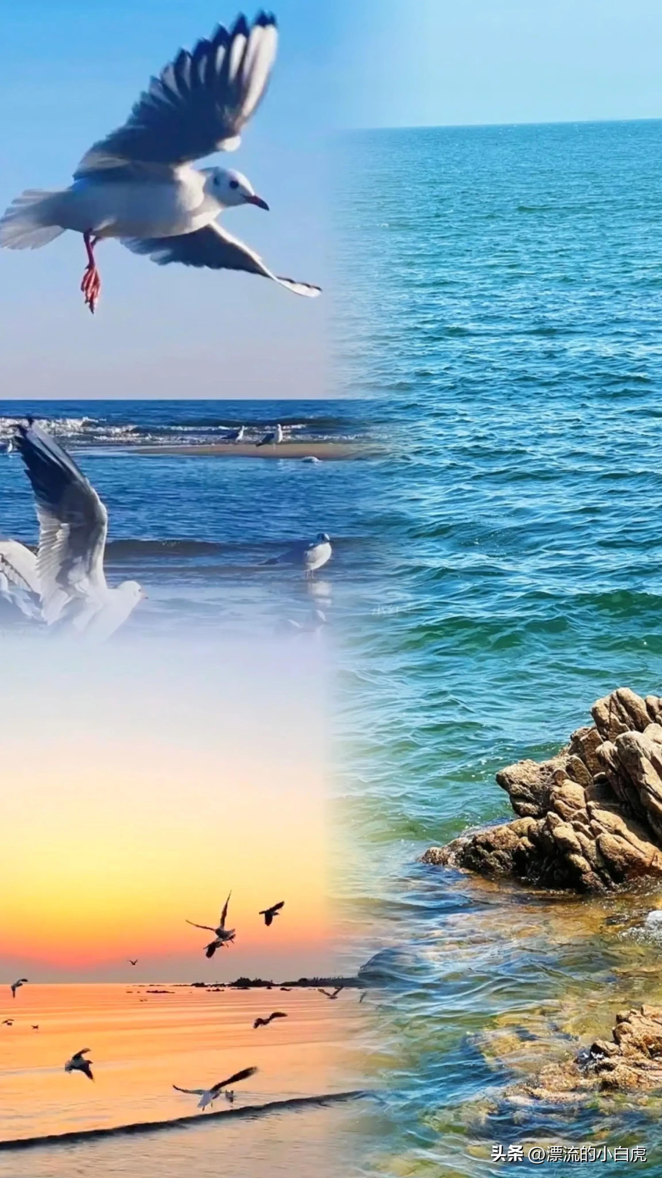 来北戴河需要避坑的地方,北戴河不踩坑的地方