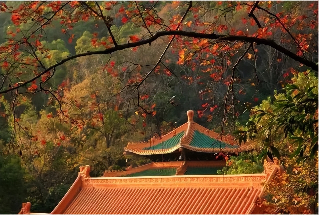 广州台山市二日游,台山川山群岛一日游