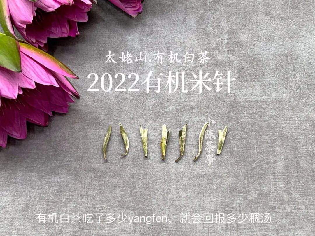 劣质的白茶有什么特征呢,别再喝劣质白茶了正宗福鼎白茶