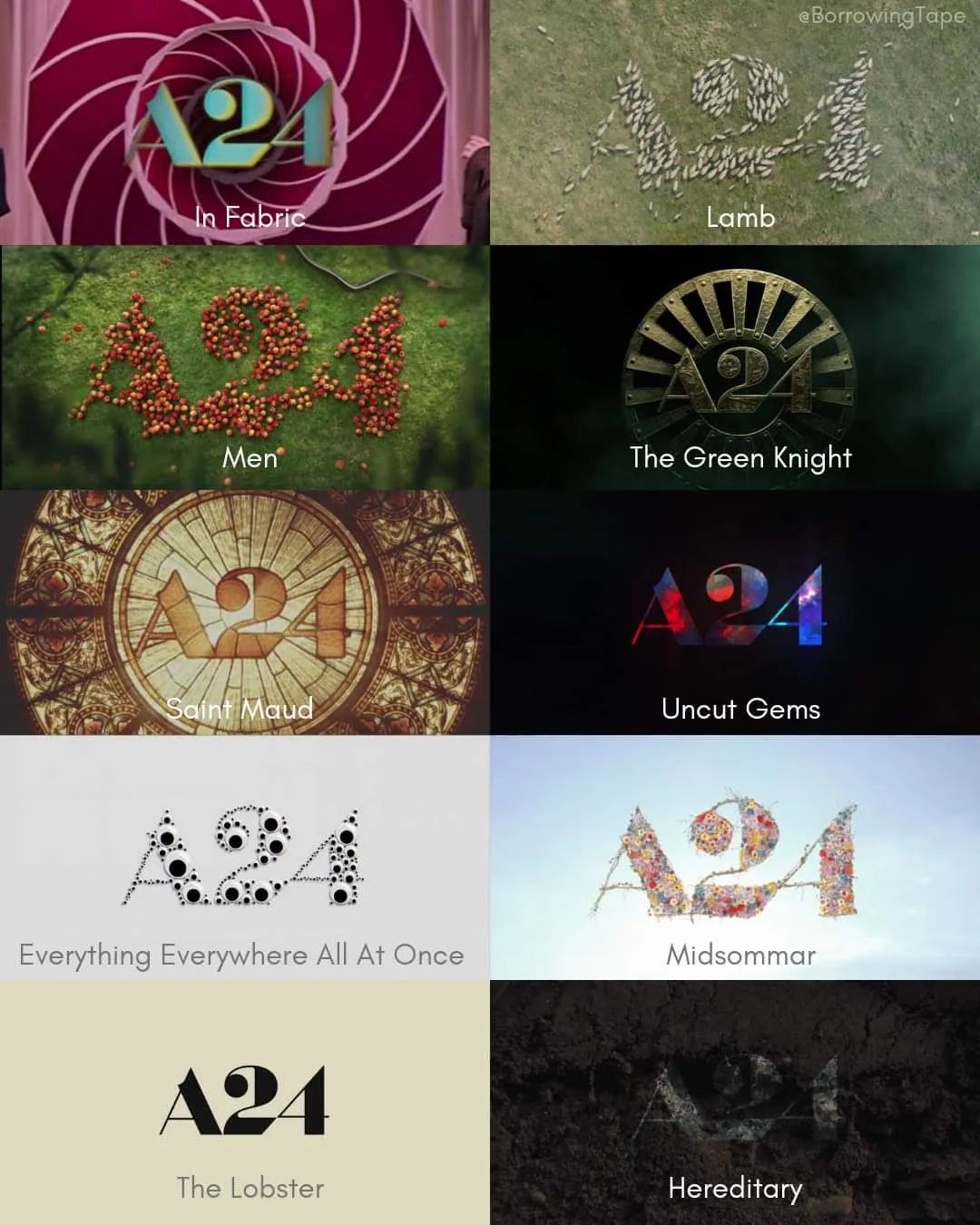 太火了，杨紫琼都没这浣熊有人气