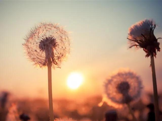 有些人，最终死于自己的口舌之快