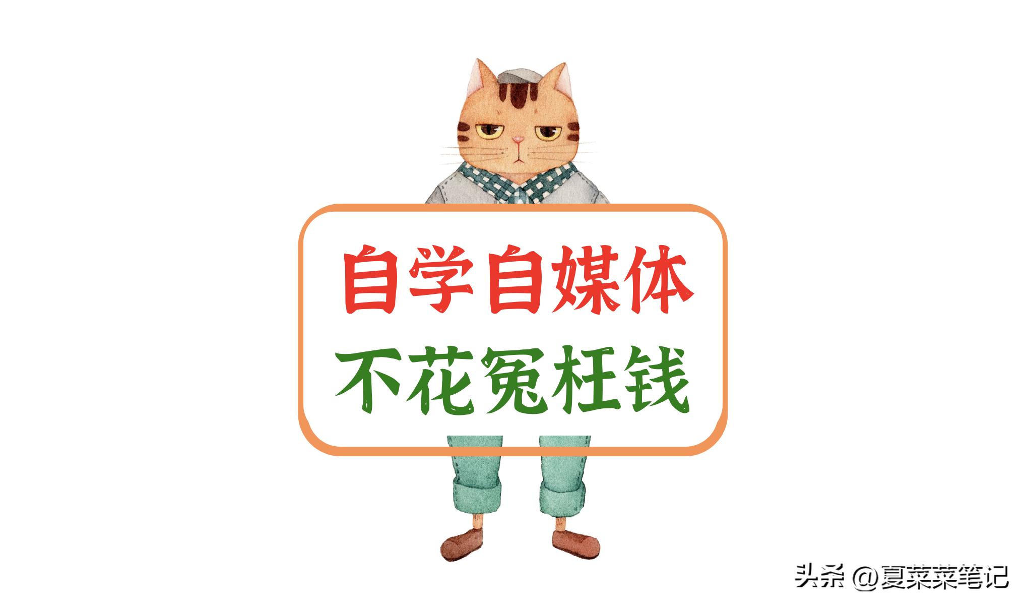 自媒体怎么一个月赚1000,自媒体怎么做到一月挣一万