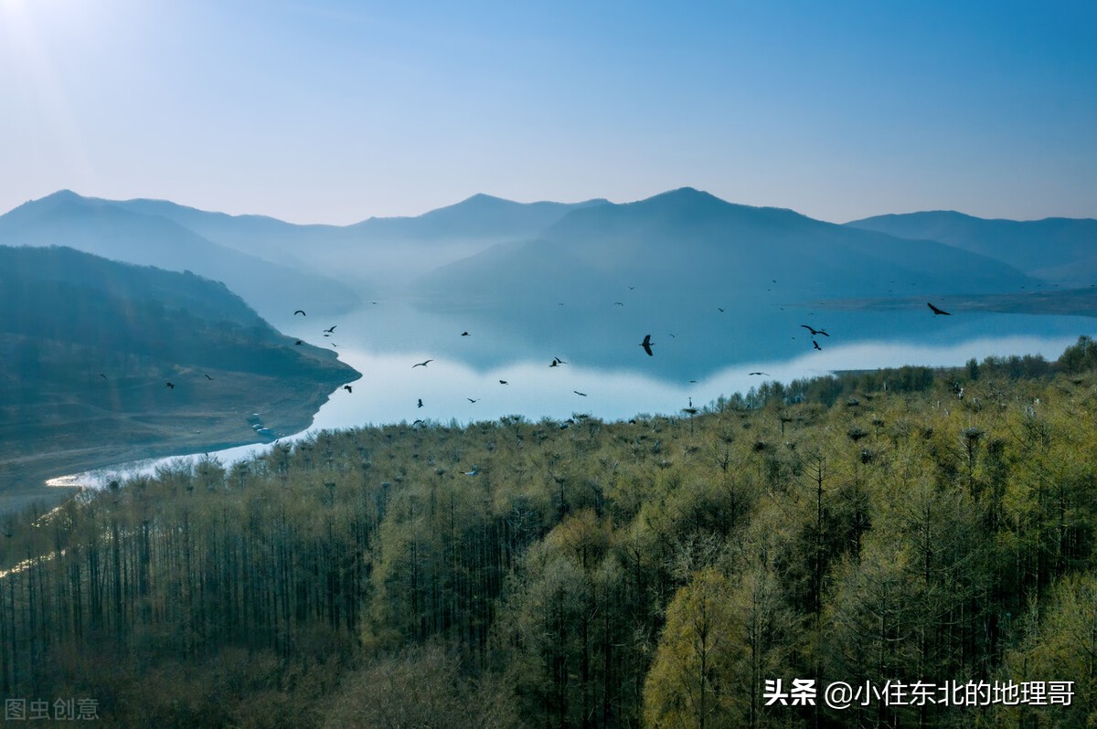 辽阳汤河水库有什么鱼,弓长岭汤河鱼