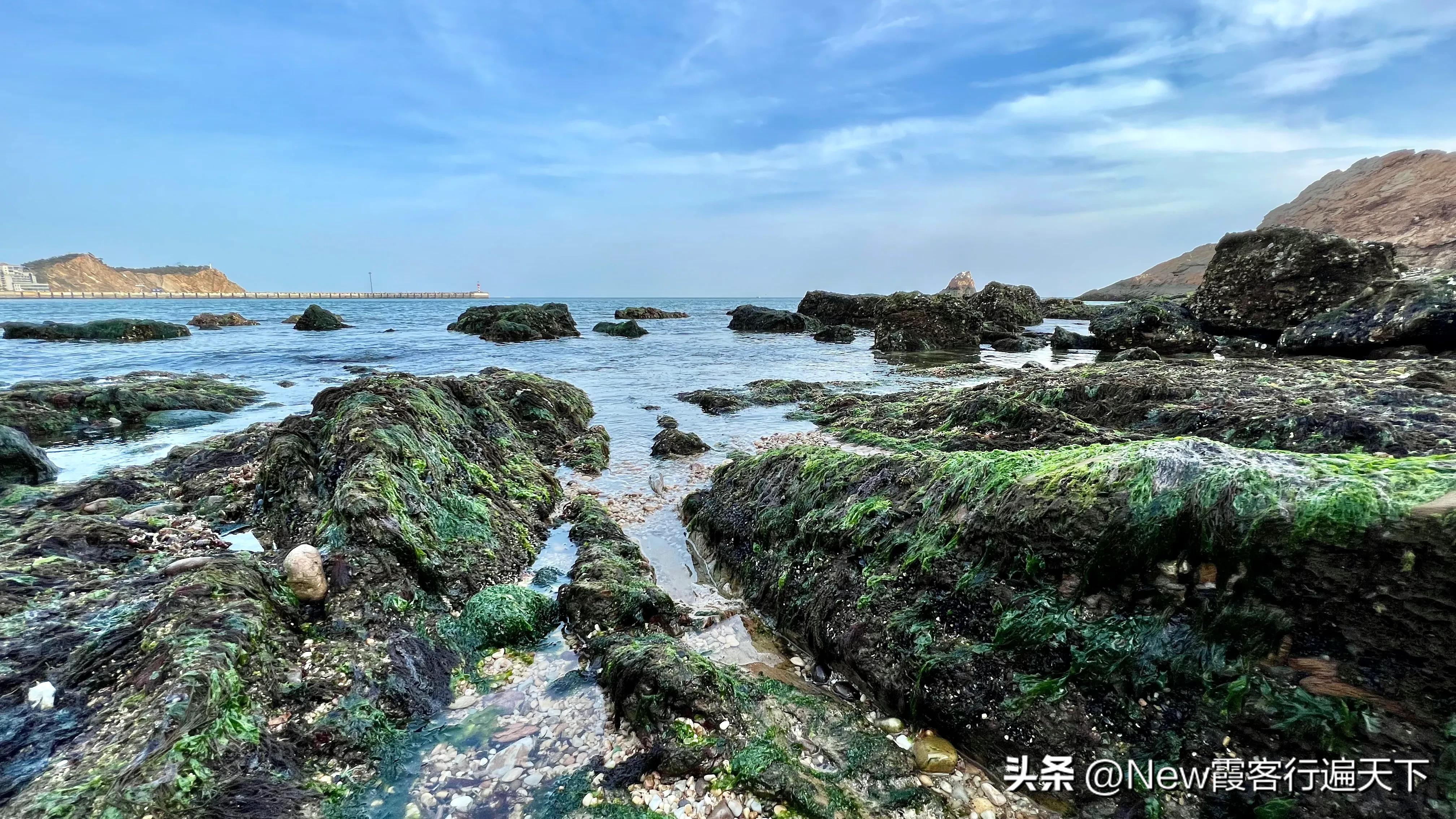 大连滨海路木栈道旅游攻略,周末徒步徜徉大连山海美景