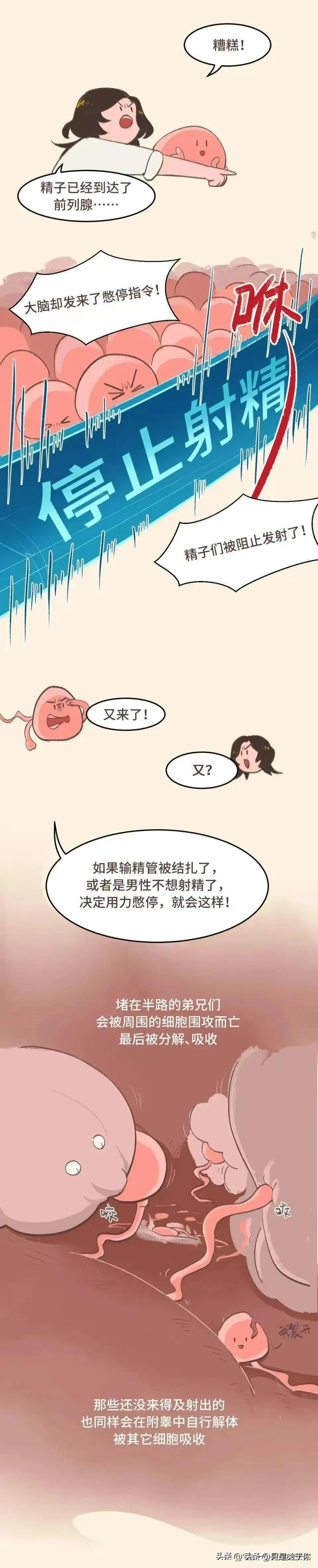 在夫妻生活中，如果男生不*射内**还能不能怀孕？（漫画）