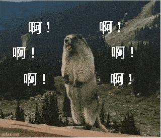 捡漏大牌彩妆护肤品,大牌防晒捡漏