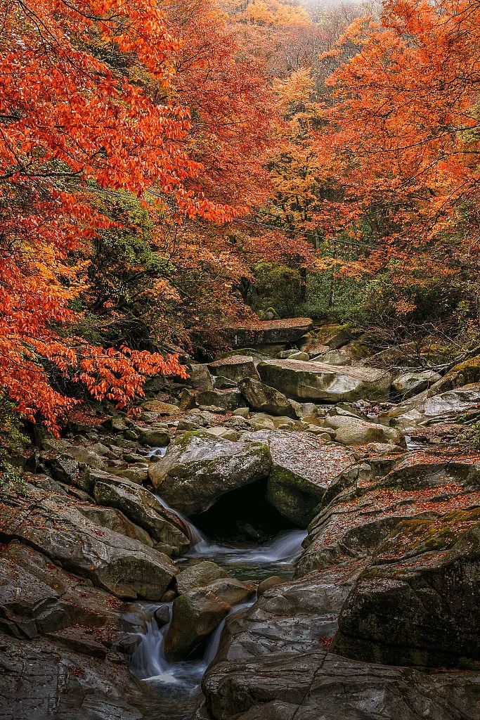 四川光雾山风景视频,光雾山旅游景区