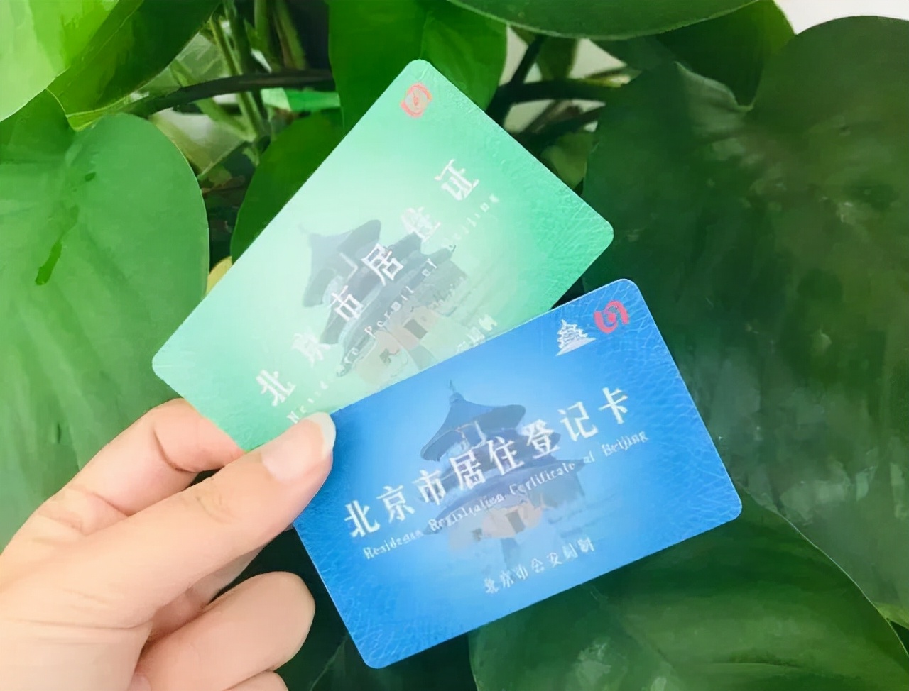 在市里做手术没有县里的转院证明,手术县医院不给转诊