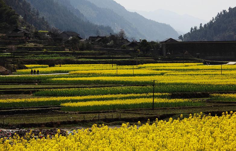 铁道兵战友相聚诗,铁道兵战友之歌简谱