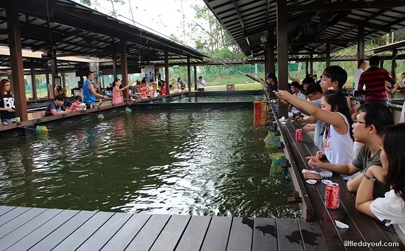 新加坡遛娃免费景点推荐一下,新加坡周末遛娃