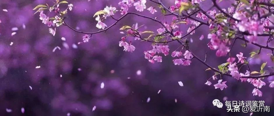 杜甫最著名的十首诗及表达的情感,杜甫最有人情味的一首诗