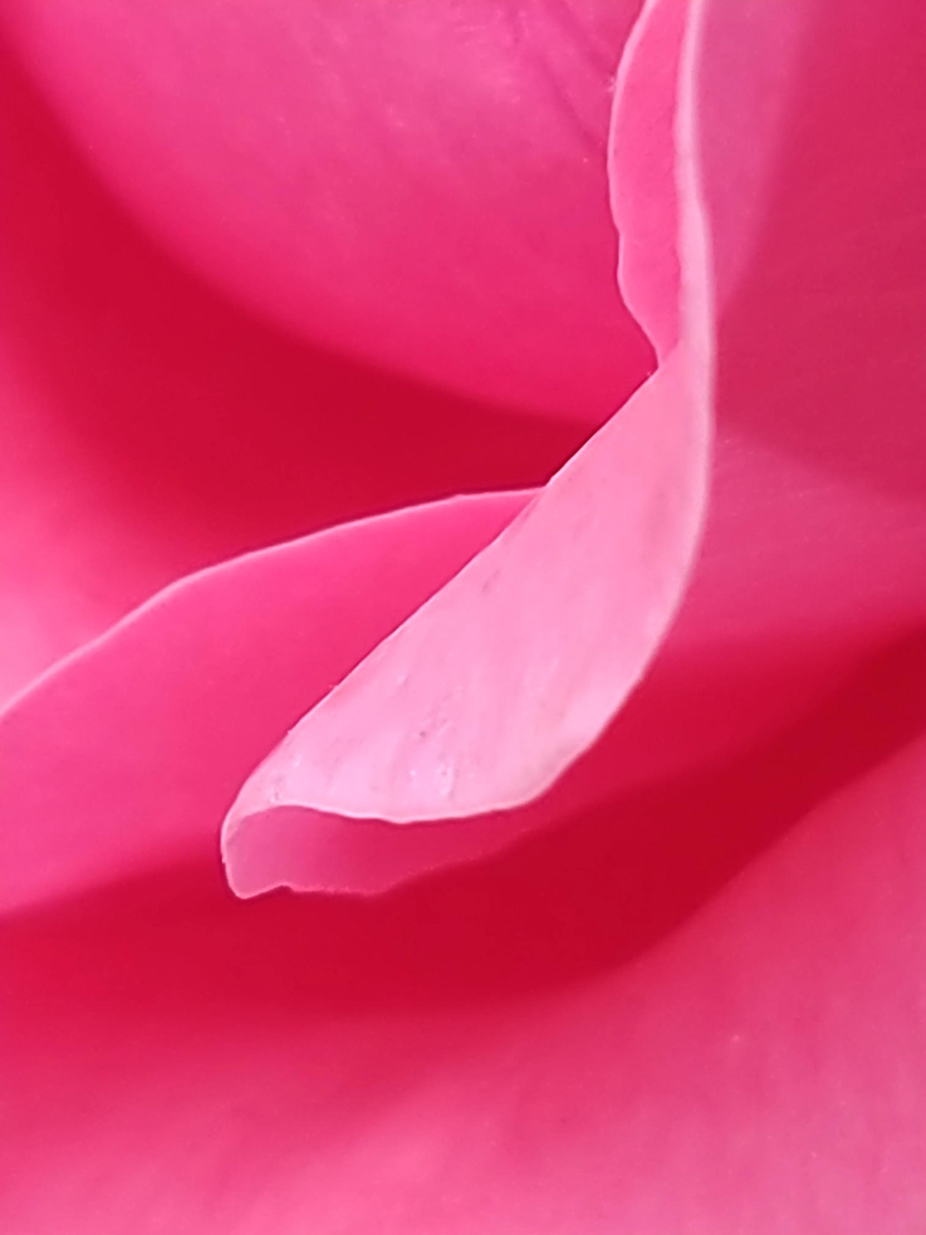 手拍世界手机摄影平台,手拍世界摄影网