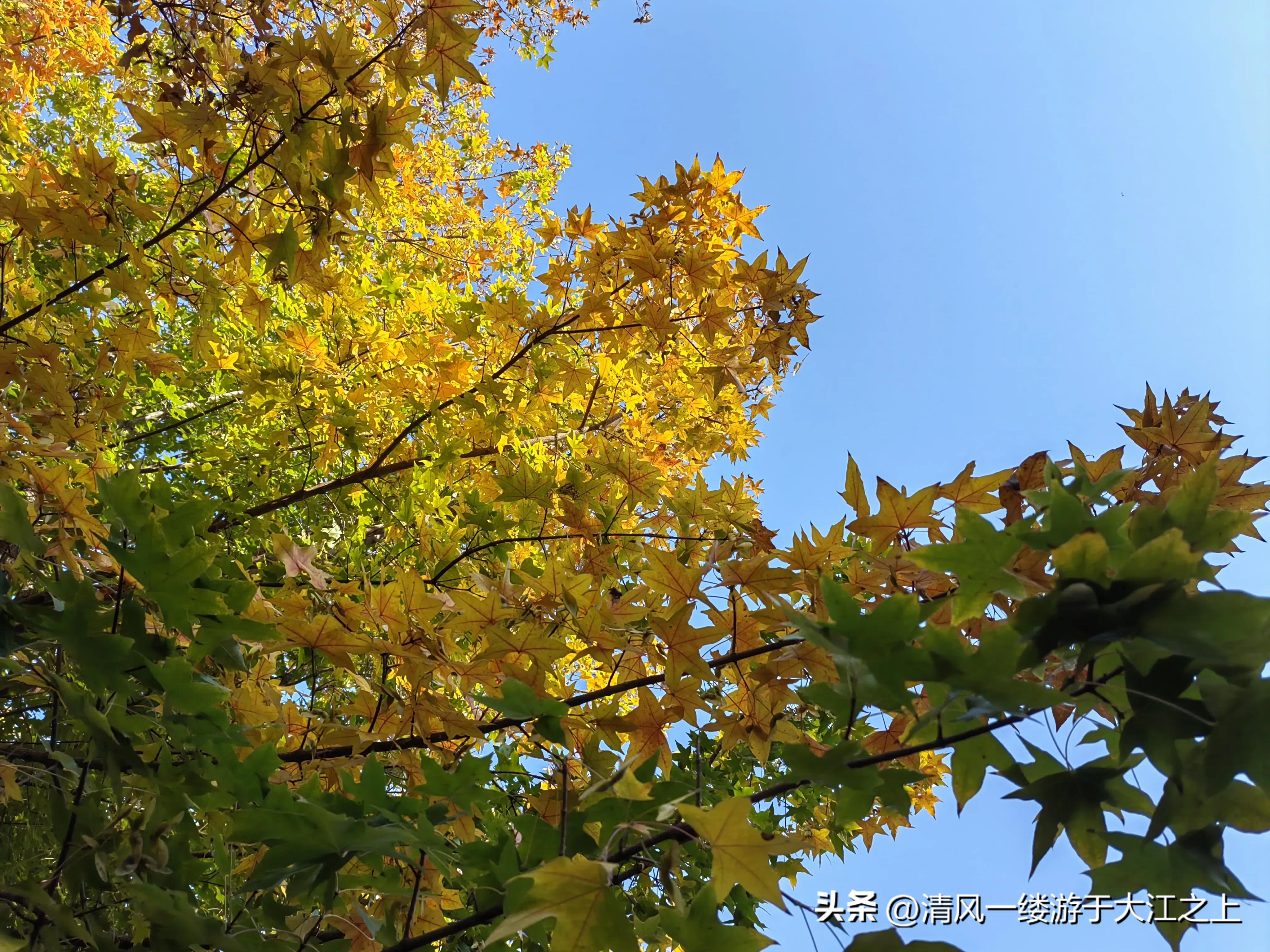 亨通光电分拆上市利好利空,亨通光电股票1季度业绩如何