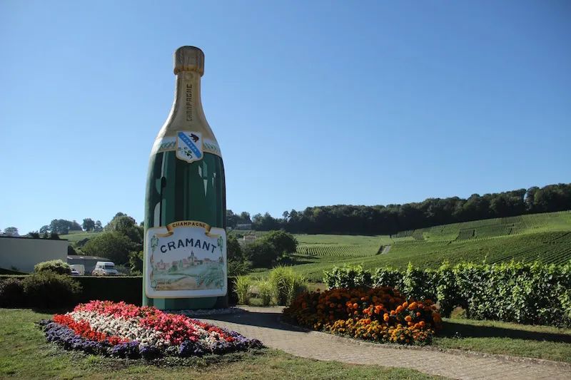 香槟葡萄园旅行,旅游香槟