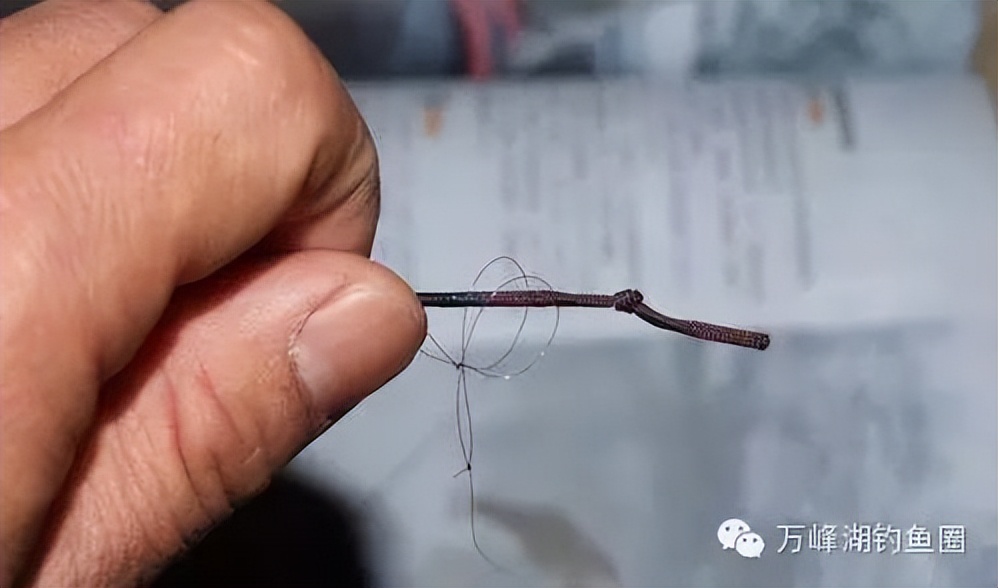 新手必学的5种鱼线和鱼竿的绑法,装鱼线绑在竿稍上的图解