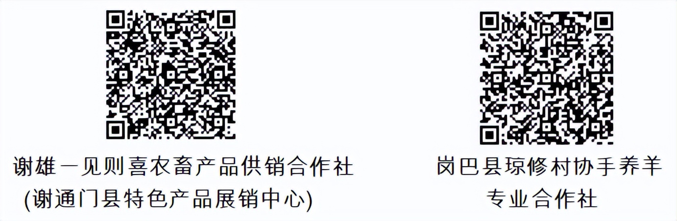 日喀则买牛肉,日喀则牛羊肉