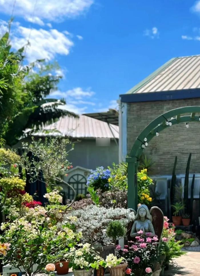 母亲节鲜花花束深圳,深圳福田区母亲节鲜花