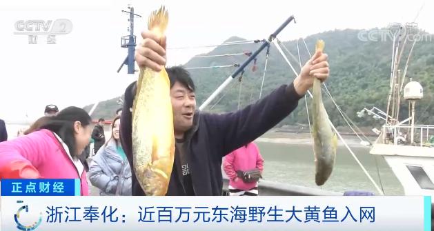 比中彩票还幸运,比中彩票还难的事