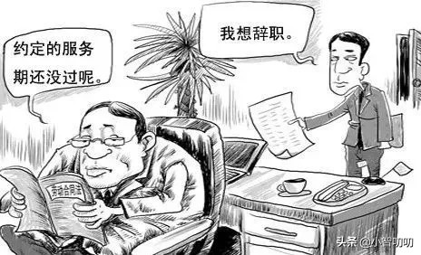 事业单位招聘最低服务年限啥意思,公务员招考公告没有最低服务年限