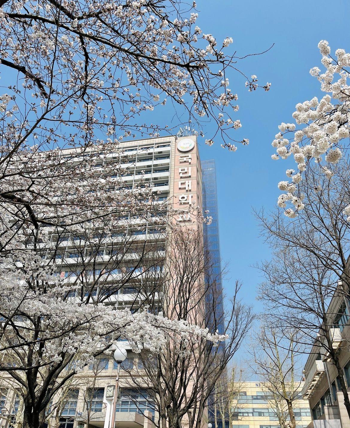 韩国留学国民大学,韩国国民大学