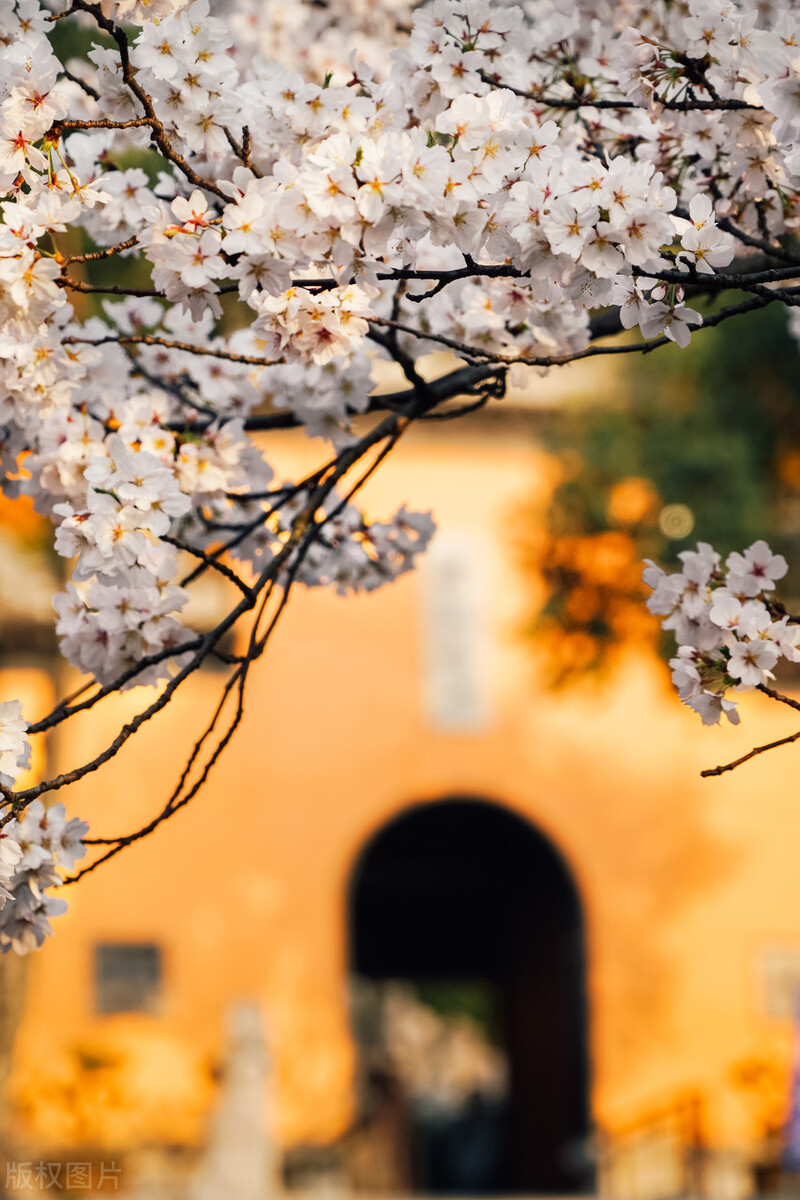 当代大学生特种兵式旅游话题,大学生特种兵旅游上热搜