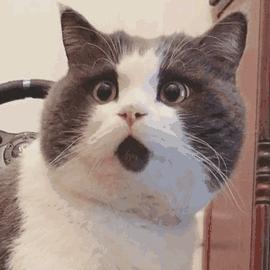 感冒千万不要乱吃药小心住icu,感冒进icu差点死亡