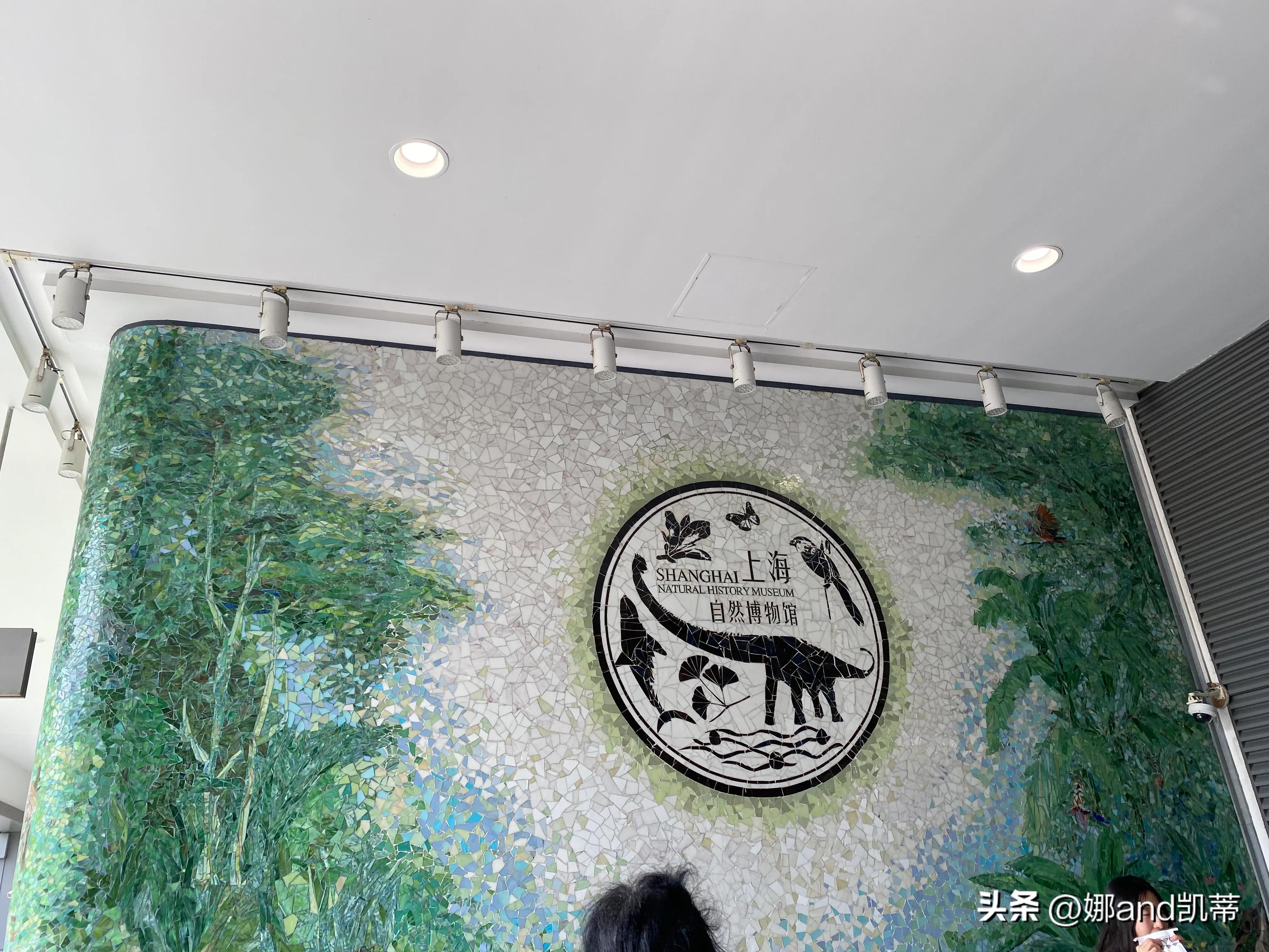 苏州高铁到上海自然博物馆攻略,最新苏州到上海自然博物馆怎么走