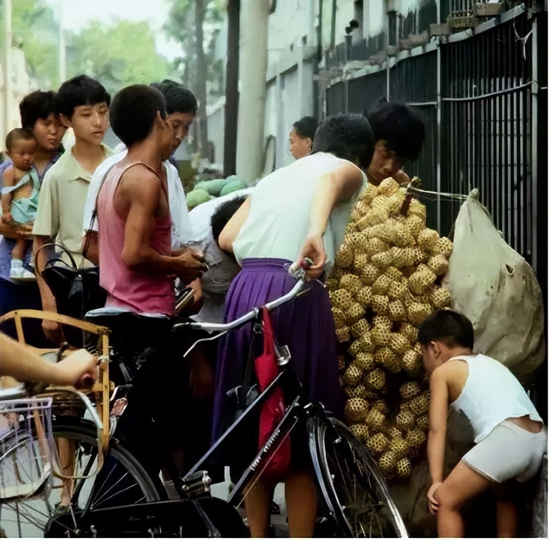 养猫养狗都养不活,养狗养猫养蜘蛛