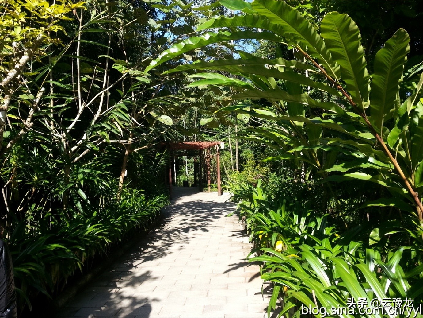 西双版纳磨憨自驾游攻略,自驾游云南版纳旅游攻略