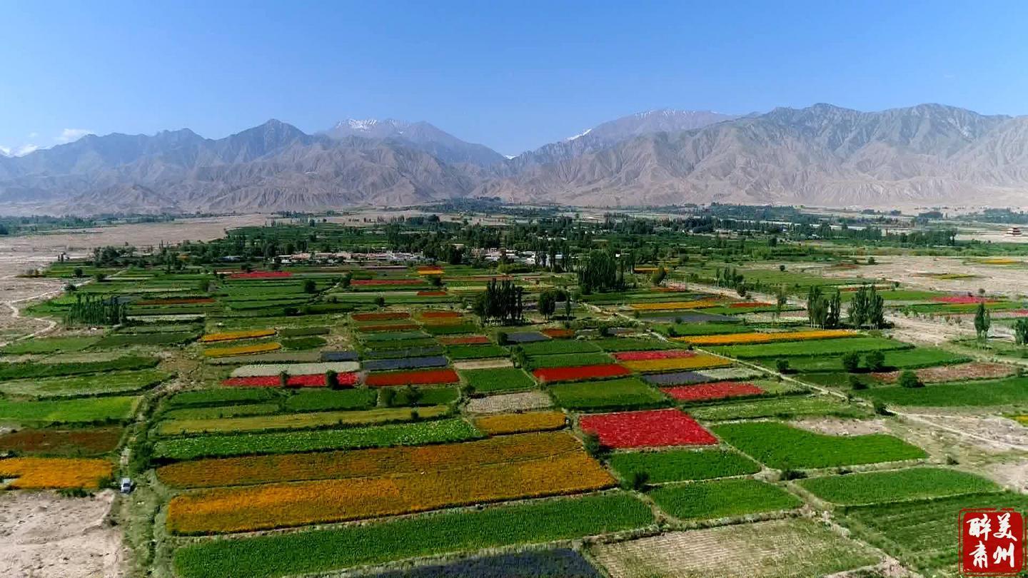 肃州区乡村振兴规划,肃州区西铜镇乡村振兴
