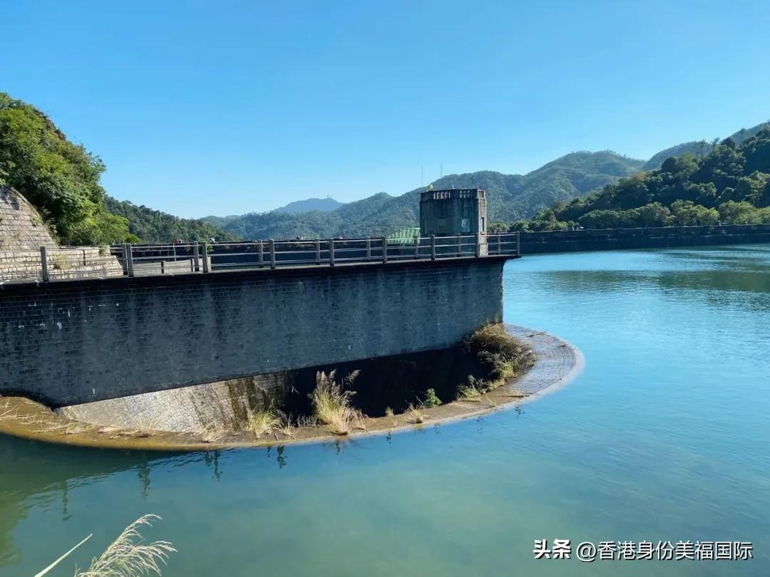 移民香港一定要本科学历吗,移民香港读书定居政策